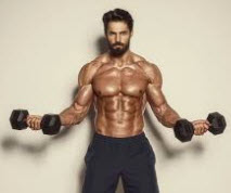 Abdominal ShapeUp Exercises 3 Abdominal ShapeUp Exercises 3