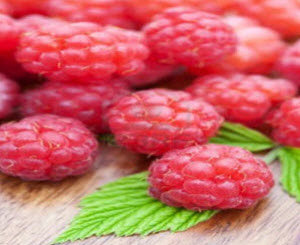 Raspberries Raspberries