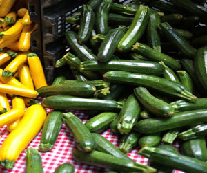 Zucchini Zucchini